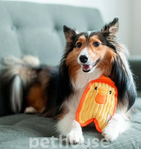 Outward Hound Invincibles Minis Chicky "Непереможне курча" для собак