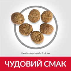 Hill's Корм з курка індичка для дорослих котів