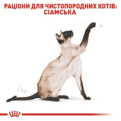 Royal Canin Корм з куркою для дорослих котів