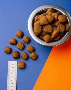 Корм BUDDYFOOD для собак великих та середніх порід з яловичиною 10 кг