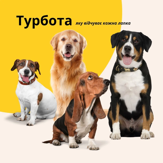Лежанка матрац IDEIA 60х80х10 см для домашніх улюбленців M (чохол з блискавкою та подушкою), Сірий 000036163