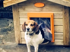 Dog House Силіконова шторка для будки DogHouse 45х70см - розмір XL