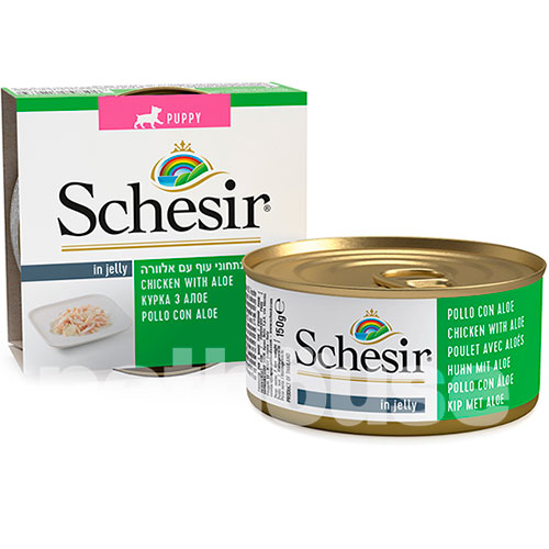 Schesir Вологий корм (шматочки в желе) з куркою для собак