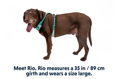 Полегшена шлейка для собак Ruffwear Hi & Light™ M 69-81 см Зелений