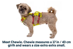 Легка шлейка для собак Ruffwear Flagline™ L/XL 81-107 см Жовтий