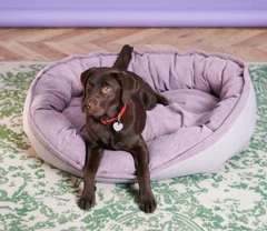 Овальний лежак для собак Harley and Cho Donut Soft Touch Pink M 80 x 60 см (3104017)