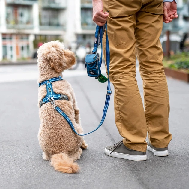 Повідець для собак регулюється Dog Copenhagen Urban Freestyle Leash дюна (S) 115 - 200 см
