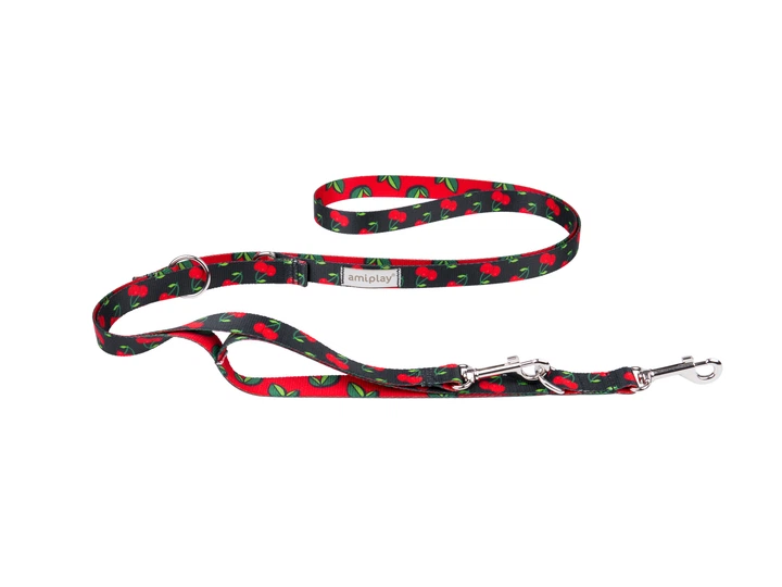 Повідець для собак Amiplay 7в1 Be Happy XL 100-200*2,5 см - вишня