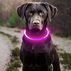Petify LED нашийник світлодіодний для собак Neon USB Rechargeable Яскраво-рожевий колір, розмір M 50 см, регульований (можна обрізати), ABS, літій-полімерний акумулятор, Артикул ТМ13