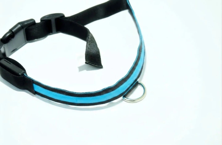 Без бренду Світлодіодний LED нашийник для собак Animal Led Glowing Dog Collar для безпеки у темряві Blue XL