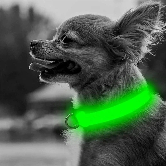 Світлодіодний Lesko Green L LED нашийник USB світиться для собак та котів