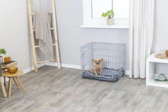 Клітка для утримання та транспортування собак малих порід Trixie 64*48*54 см (метал)