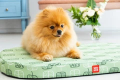Чохол для лежанки WAUDOG Relax, малюнок "Зелене листя", розмір S, 55х40 см (1308-0108)
