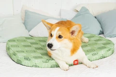 Чохол для лежанки WAUDOG Relax, малюнок "Зелене листя", розмір S, 55х40 см (1308-0108)
