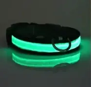 Derby Нашийник на акумуляторі, що світиться в темряві, з USB водонепроникний для собак L Зелений