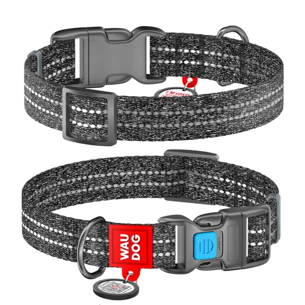Collar Нашийник WAUDOG з QR паспортом (ширина 20 мм, довжина 28-40 см), сірий