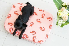 Чохол для лежанки WAUDOG Relax, малюнок "Креветка", розмір S, 55х40 см (1308-0109)