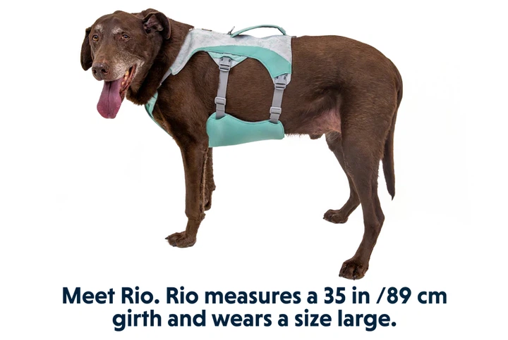 Охолоджувальна шлейка для собак Ruffwear Swamp Cooler™ S 56-69 см Зелений