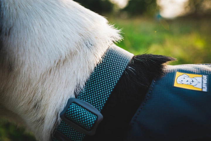 Полегшений нашийник для собак Ruffwear Hi & Light™ 51-66 см Сірий