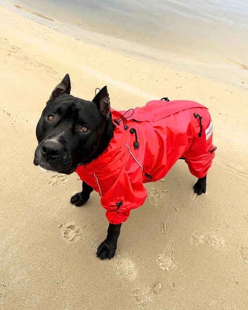 Одяг для собак дощовик “HUNTER D RED”. SKU 004377. Розмір 2XS. Your Stylish Hunter. Комбінезон дощовик для собак середніх та великих порід, від спаніелю та корги до вівчарки та алабаю.