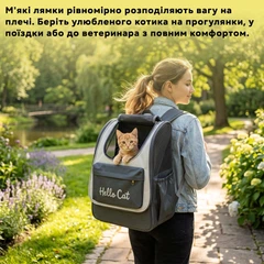 Рюкзак для переноски тварин Inspire HelloCat 37 х 25 х 34 см Grey (HelloCat-grey)
