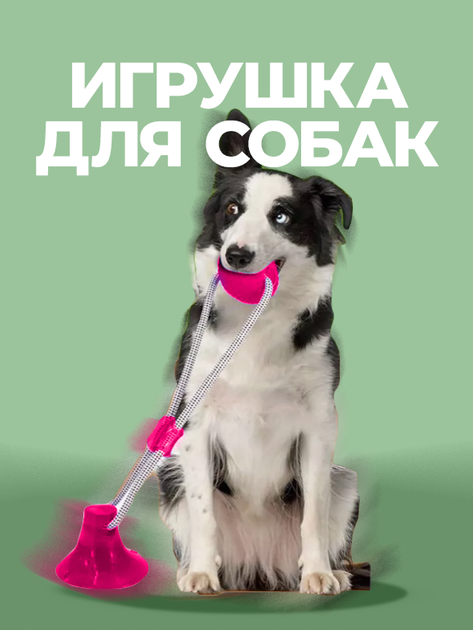 Grand Іграшка для собак Тягни-Кусай Dog Toy Rope рожева на присосці