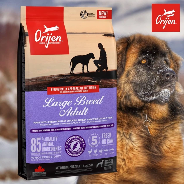 Orijen Large Breed Adult беззерновий корм з птицею та рибою для собак великих порід, 11.4 кг