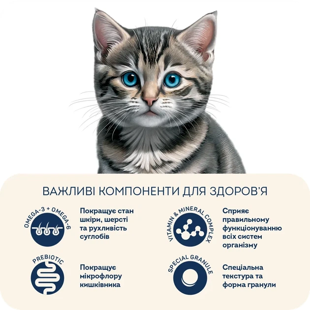 Home Food Корм