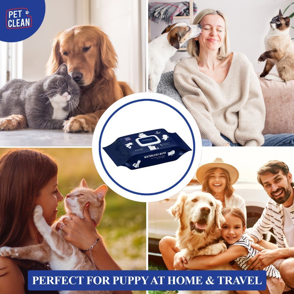 Elanco (Bayer) Pet Clean Pet Grooming Wipes серветки для котів 100 шт - японська вишня