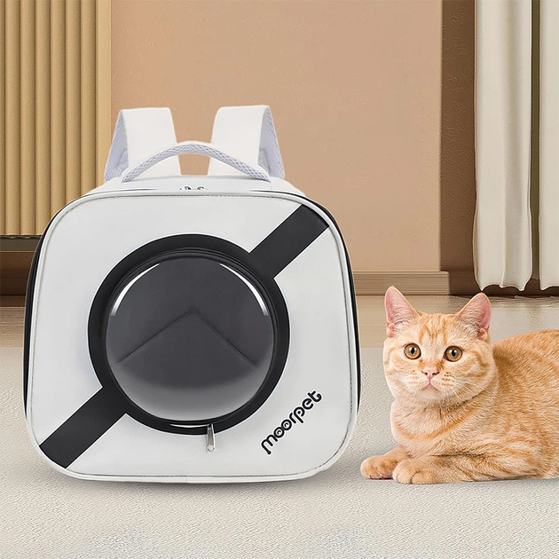 Рюкзак-перенесення для кішок Taotaopets 241109 Window Black сумка з вікном