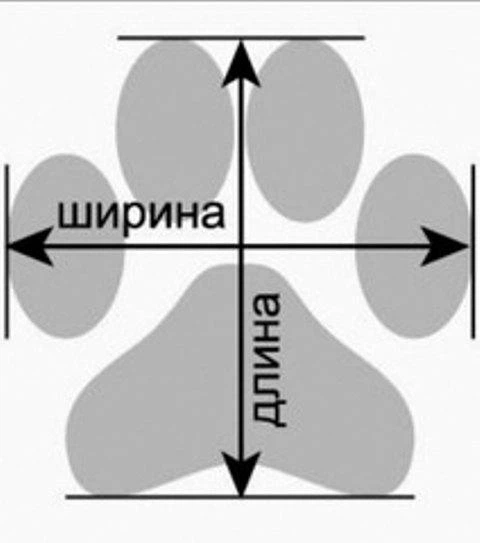 Bingo Взуття черевики для собак із флісом чорні 3х4х7 см 4542277
