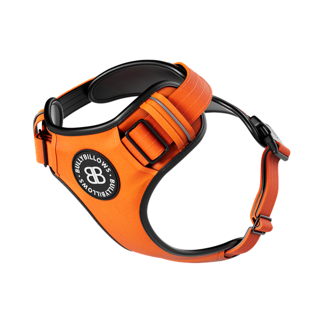 Анатомічна шлея для собак BullyBillows Premium Comfort Harness L: ОШ 39-66 см, ОГ 79-96 см Помаранчевий