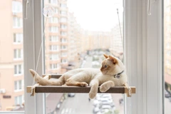 PetJoy Лежаки Pet Joy Гамак white+beige на вікно для кота 1 шт (wwhite1beige)