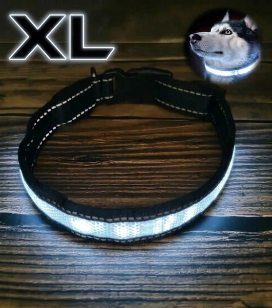 Без бренду Світлодіодний LED нашийник для собак Animal Led Glowing Dog Collar для безпеки у темряві White XL