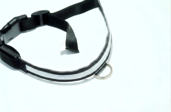 Без бренду Світлодіодний LED нашийник для собак Animal Led Glowing Dog Collar для безпеки у темряві White XL
