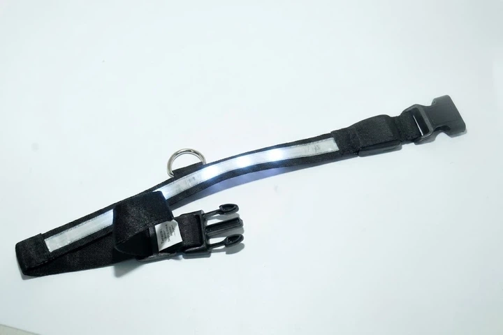 Без бренду Світлодіодний LED нашийник для собак Animal Led Glowing Dog Collar для безпеки у темряві White XL