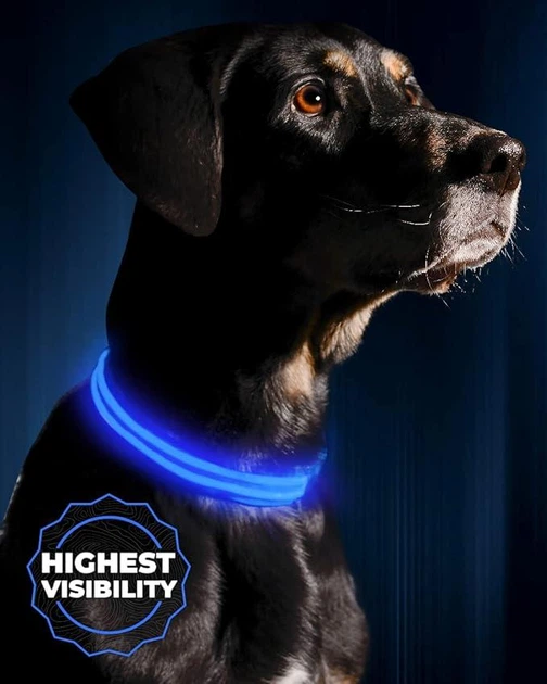 Без бренду LED нашийник для собак Illumiseen перезаряджається через USB (синій, L, 49 см)