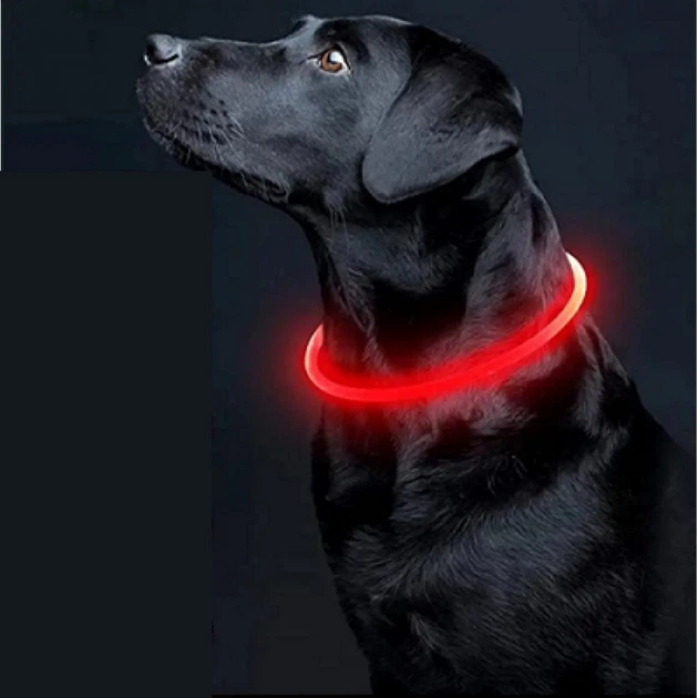 3M Нашийник 3М з LED підсвічуванням та підзарядкою USB 50 см Червоний