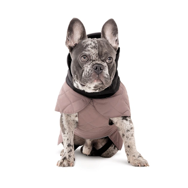 Pet Fashion Попона Max ХS такса для собак