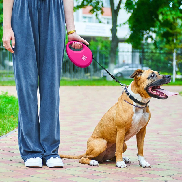 Повідець-рулетка для собак WAUDOG R-leash L стрічковий 5 м до 40 кг рожевий зі світловідбиваючою стрічкою та контейнером боксом для прибирання сміттєвих пакетів пластиковий повідець для великих та сер