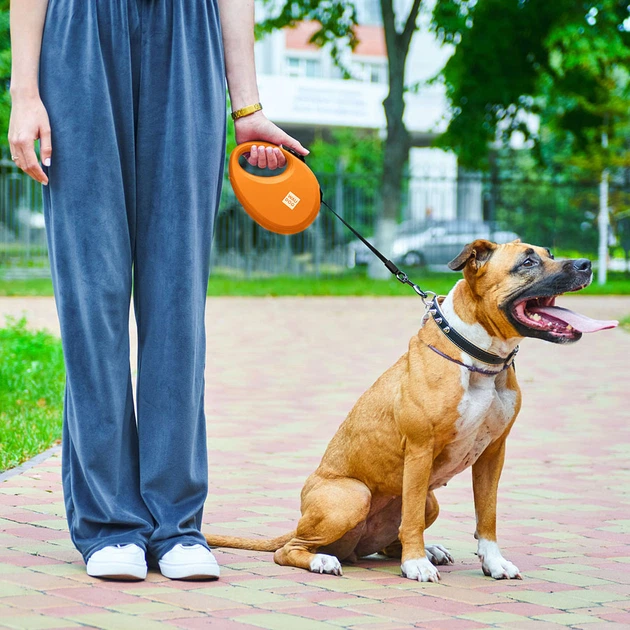 Повідець-рулетка для собак WAUDOG R-leash L стрічковий 5 м до 40 кг помаранчевий зі світловідбиваючою стрічкою та контейнером боксом для прибирання сміттєвих пакетів пластиковий повідець для великих т
