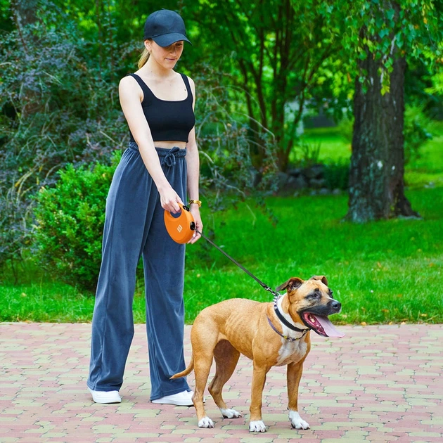 Повідець-рулетка для собак WAUDOG R-leash L стрічковий 5 м до 40 кг помаранчевий зі світловідбиваючою стрічкою та контейнером боксом для прибирання сміттєвих пакетів пластиковий повідець для великих т