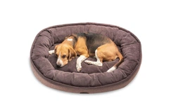 Овальний Лежак Harley and Cho Donut Soft Touch Brown L 100х70х21 cm Коричневий для собак (3102864)