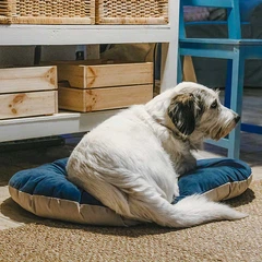 Ferplast Подушка-підстилка PRINCE 65/6 CUSHION BLUE-BEIGE, двостороння, синьо-бежева