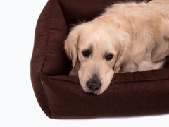 Лежак для собак Harley and Cho Sofa з посиленою поверхнею Brown XL