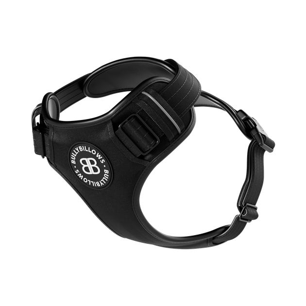 Анатомічна шлея для собак BullyBillows Premium Comfort Harness M: ОШ 35-53 см, ОГ 64-78 см Чорний