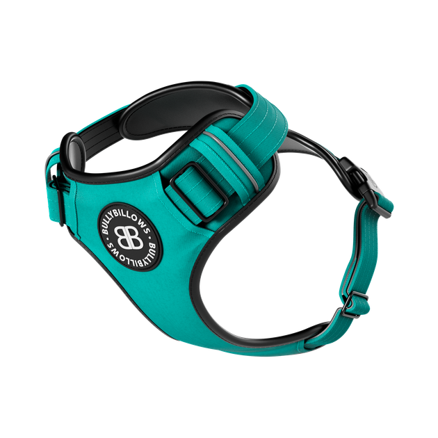 Анатомічна шлея для собак BullyBillows Premium Comfort Harness M: ОШ 35-53 см, ОГ 64-78 см Бірюзовий