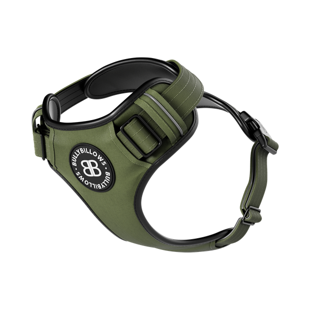 Анатомічна шлея для собак BullyBillows Premium Comfort Harness M: ОШ 35-53 см, ОГ 64-78 см Зелений