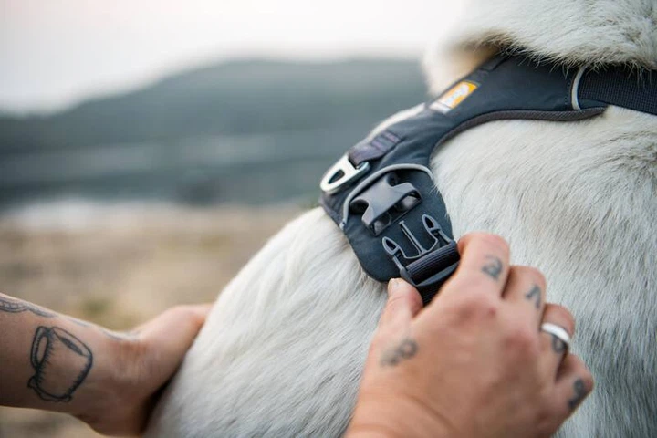 Повсякденна шлейка для собак Ruffwear Front Range® XXS 33-43 см Сірий