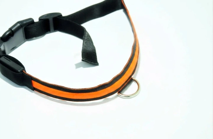 Без бренду Світлодіодний LED нашийник для собак Animal Led Glowing Dog Collar для безпеки у темряві Orange XL